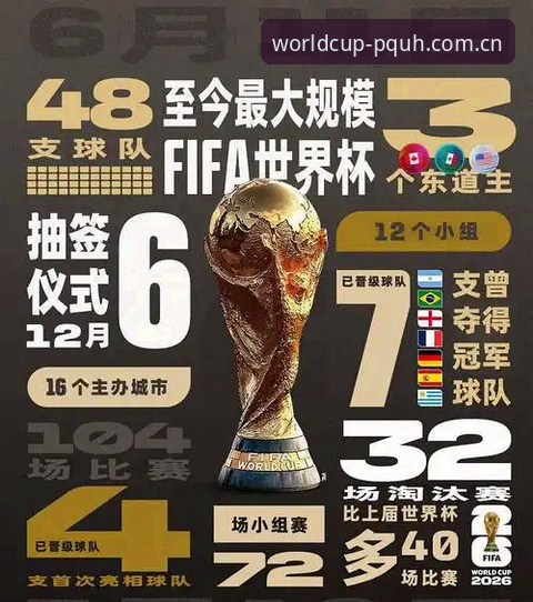 资深用户分享2026世界杯苹果下载实战经验，打破设备限制畅享赛事